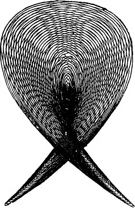 An illustration from Scientific amusements, 1890, leaf 522