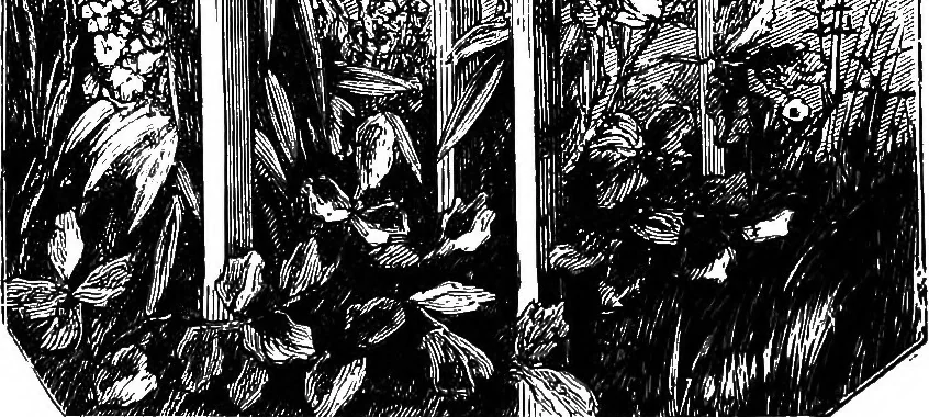 An illustration from Scientific amusements, 1890, leaf 575