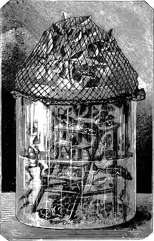 An illustration from Scientific amusements, 1890, leaf 578