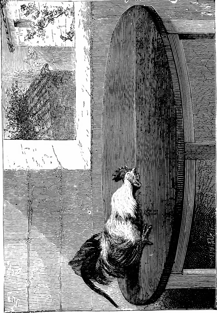 An illustration from Scientific amusements, 1890, leaf 580