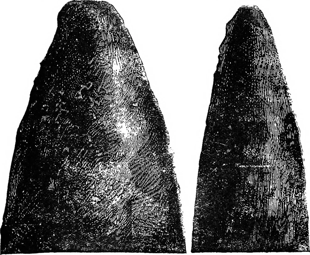 An illustration from Scientific amusements, 1890, leaf 582