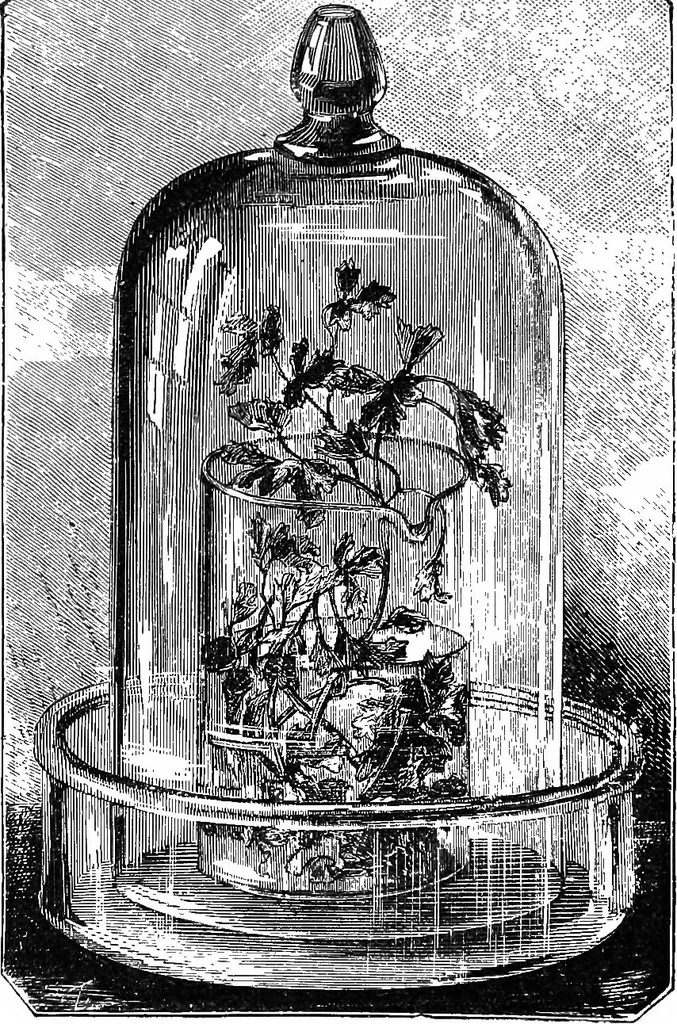 An illustration from Scientific amusements, 1890, leaf 585