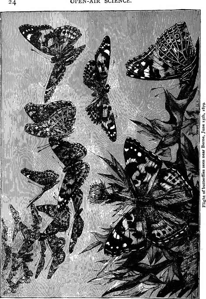 An illustration from Scientific amusements, 1890, leaf 587