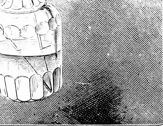 An illustration from Scientific amusements, 1890, leaf 609