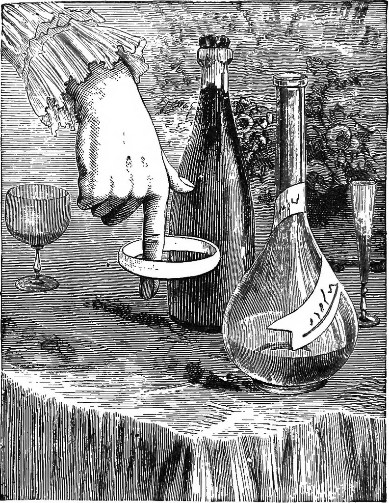 An illustration from Scientific amusements, 1890, leaf 625