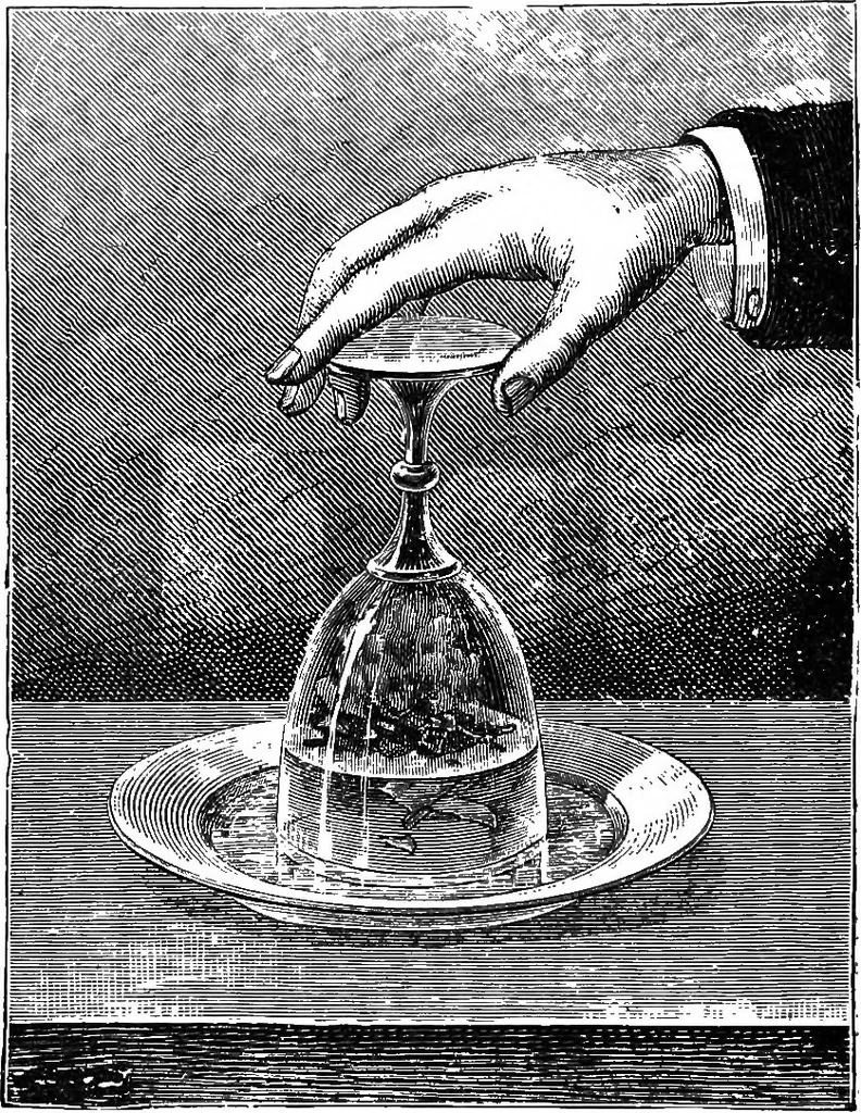 An illustration from Scientific amusements, 1890, leaf 629