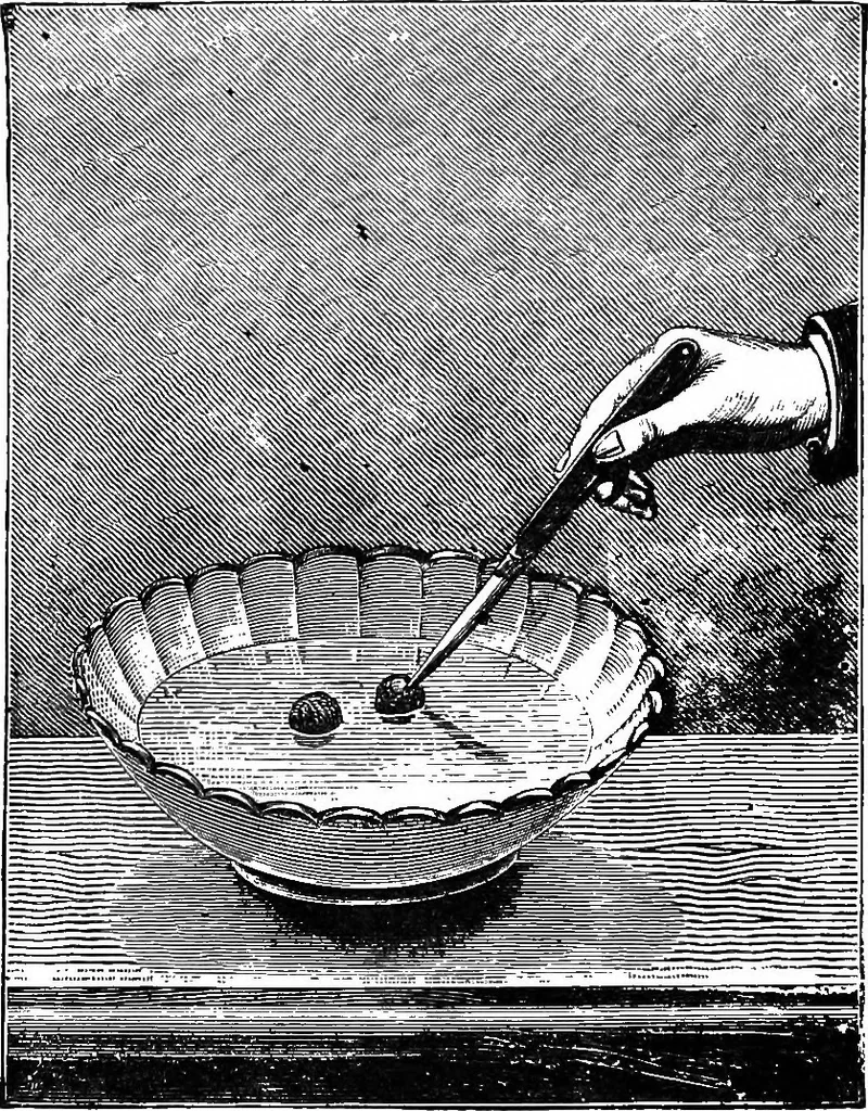 An illustration from Scientific amusements, 1890, leaf 683