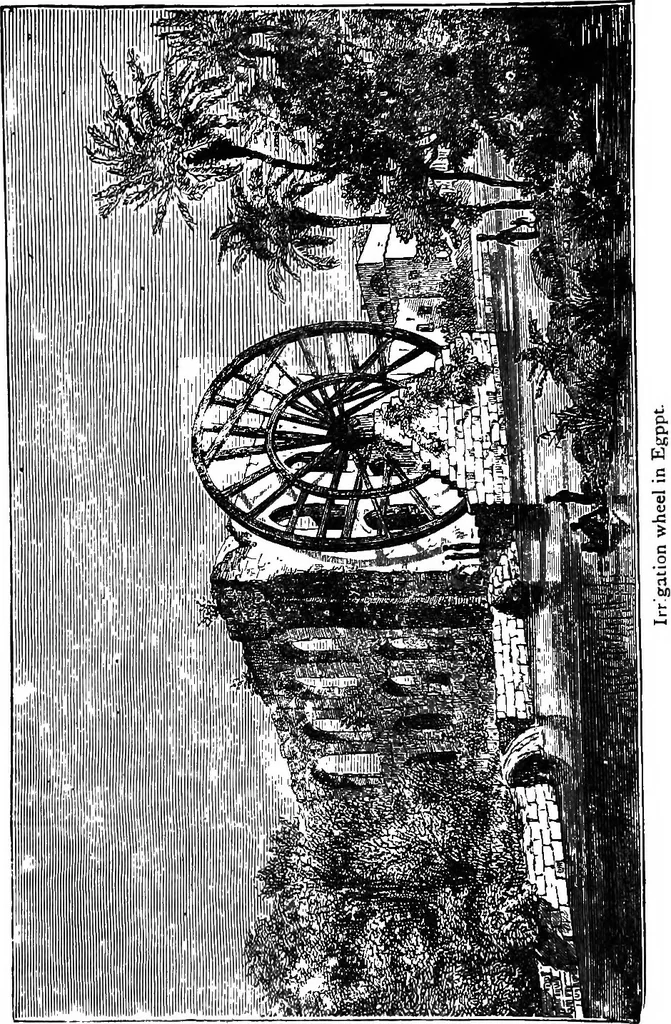 An illustration from Scientific amusements, 1890, leaf 691