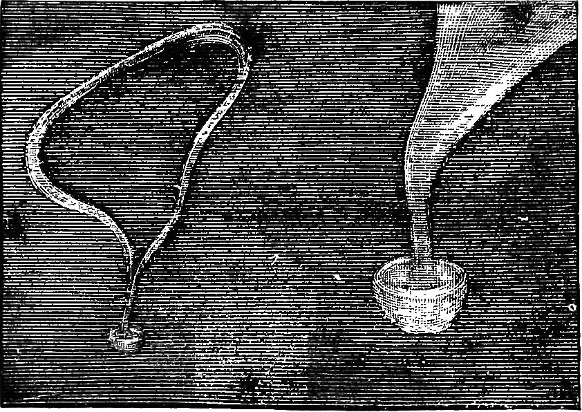 An illustration from Scientific amusements, 1890, leaf 70