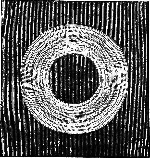An illustration from Scientific amusements, 1890, leaf 71