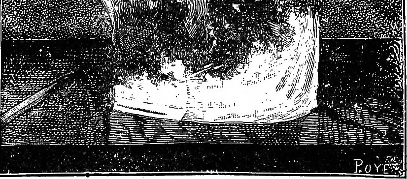 An illustration from Scientific amusements, 1890, leaf 80