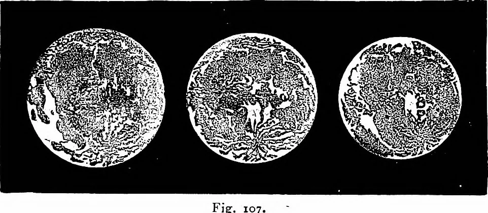 An illustration from The heavens above: a popular handbook of astronomy, 1882, leaf 109