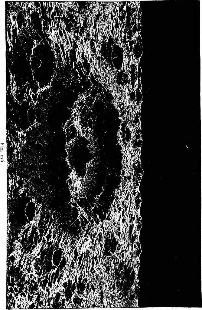 An illustration from The heavens above: a popular handbook of astronomy, 1882, leaf 140