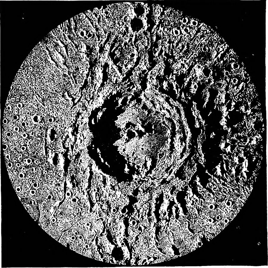 An illustration from The heavens above: a popular handbook of astronomy, 1882, leaf 141