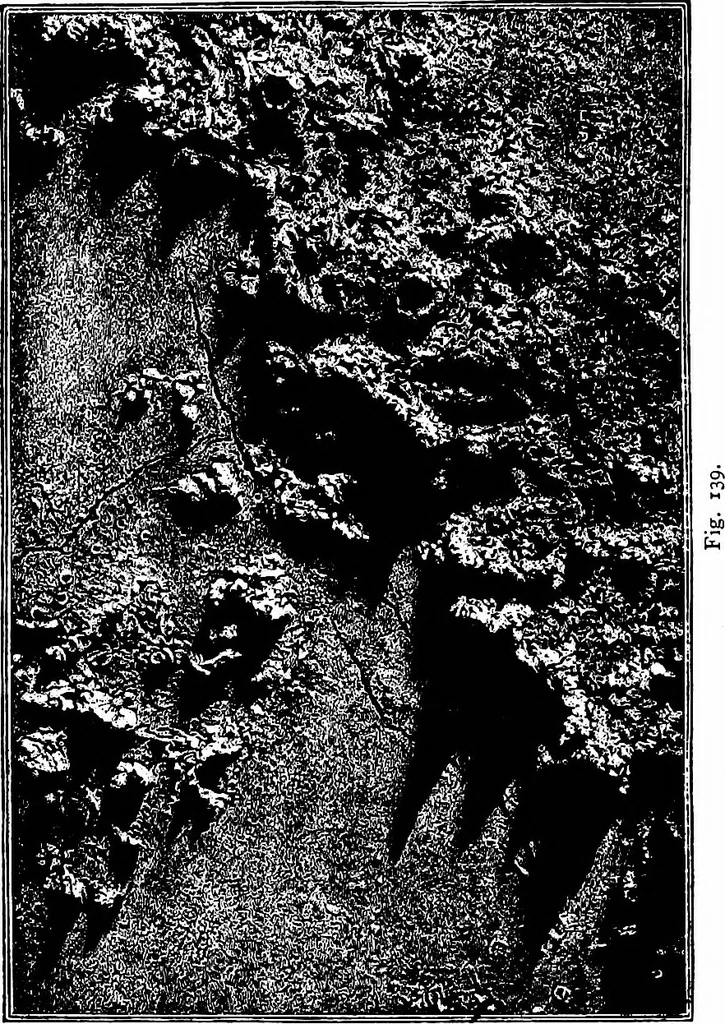 An illustration from The heavens above: a popular handbook of astronomy, 1882, leaf 143