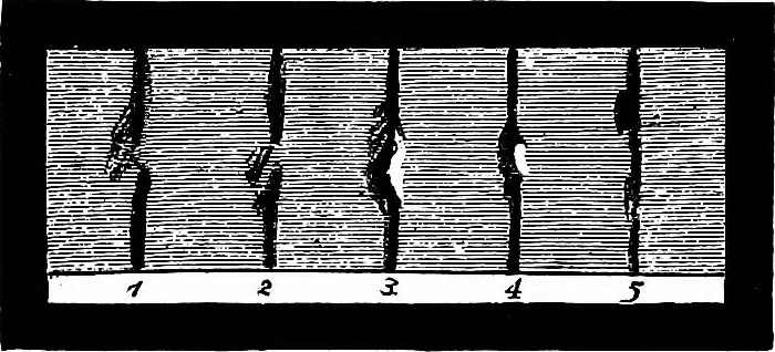 An illustration from The heavens above: a popular handbook of astronomy, 1882, leaf 191