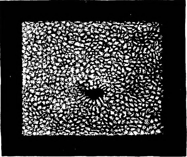 An illustration from The heavens above: a popular handbook of astronomy, 1882, leaf 195