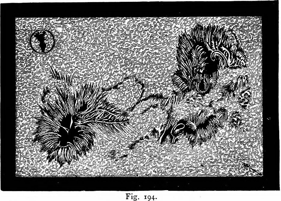 An illustration from The heavens above: a popular handbook of astronomy, 1882, leaf 201