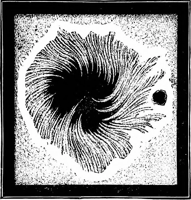 An illustration from The heavens above: a popular handbook of astronomy, 1882, leaf 202