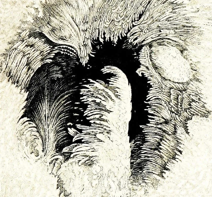 An illustration from The heavens above: a popular handbook of astronomy, 1882, leaf 204