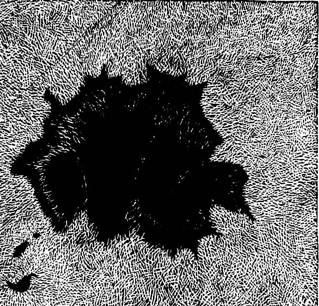 An illustration from The heavens above: a popular handbook of astronomy, 1882, leaf 206