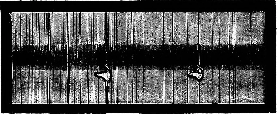 An illustration from The heavens above: a popular handbook of astronomy, 1882, leaf 212