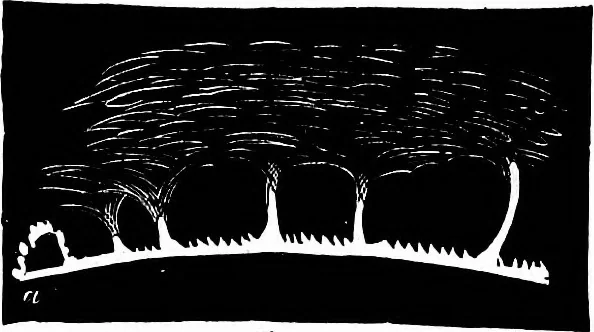 An illustration from The heavens above: a popular handbook of astronomy, 1882, leaf 226