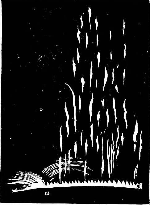 An illustration from The heavens above: a popular handbook of astronomy, 1882, leaf 226