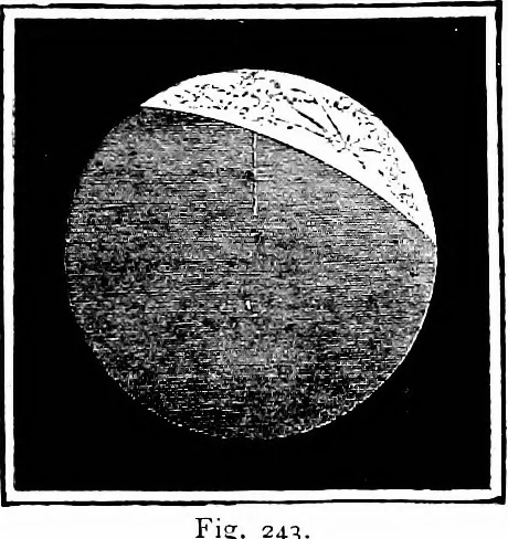An illustration from The heavens above: a popular handbook of astronomy, 1882, leaf 244