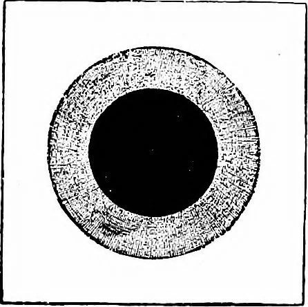 An illustration from The heavens above: a popular handbook of astronomy, 1882, leaf 251
