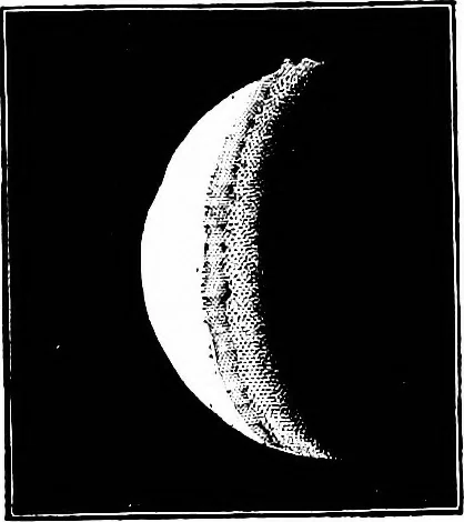 An illustration from The heavens above: a popular handbook of astronomy, 1882, leaf 253