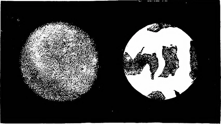 An illustration from The heavens above: a popular handbook of astronomy, 1882, leaf 255