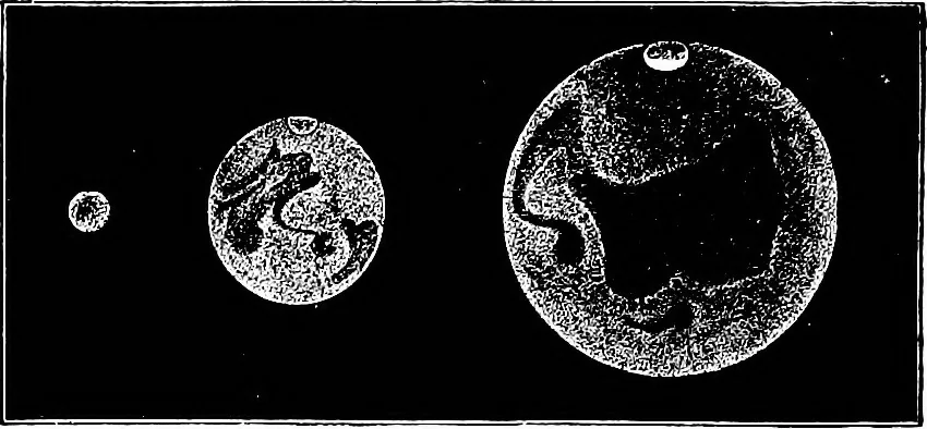 An illustration from The heavens above: a popular handbook of astronomy, 1882, leaf 259