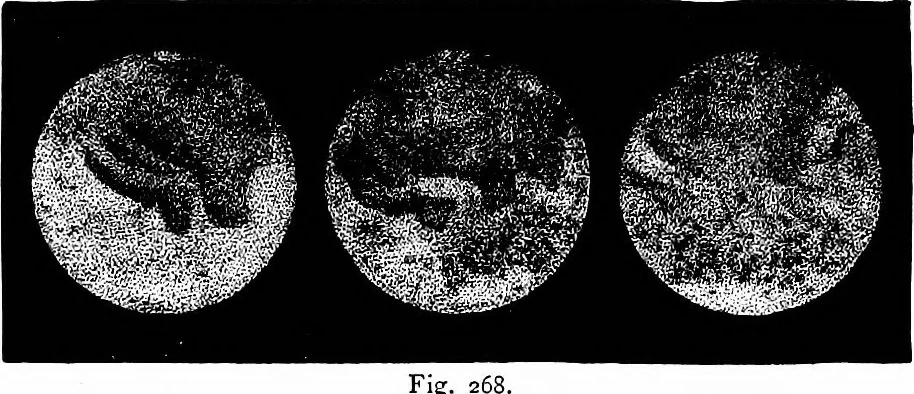 An illustration from The heavens above: a popular handbook of astronomy, 1882, leaf 264