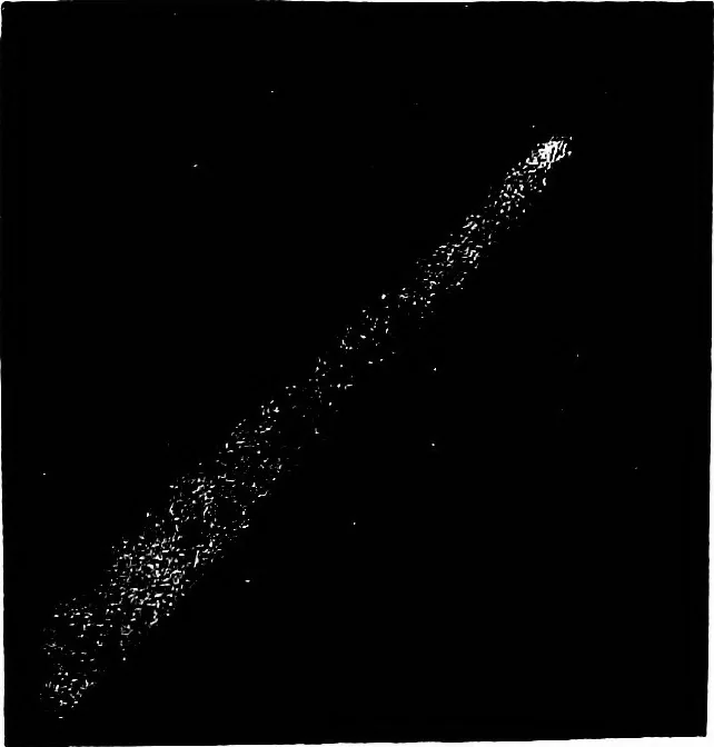 An illustration from The heavens above: a popular handbook of astronomy, 1882, leaf 301
