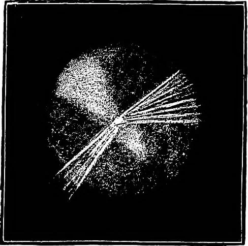 An illustration from The heavens above: a popular handbook of astronomy, 1882, leaf 304