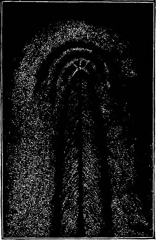 An illustration from The heavens above: a popular handbook of astronomy, 1882, leaf 306