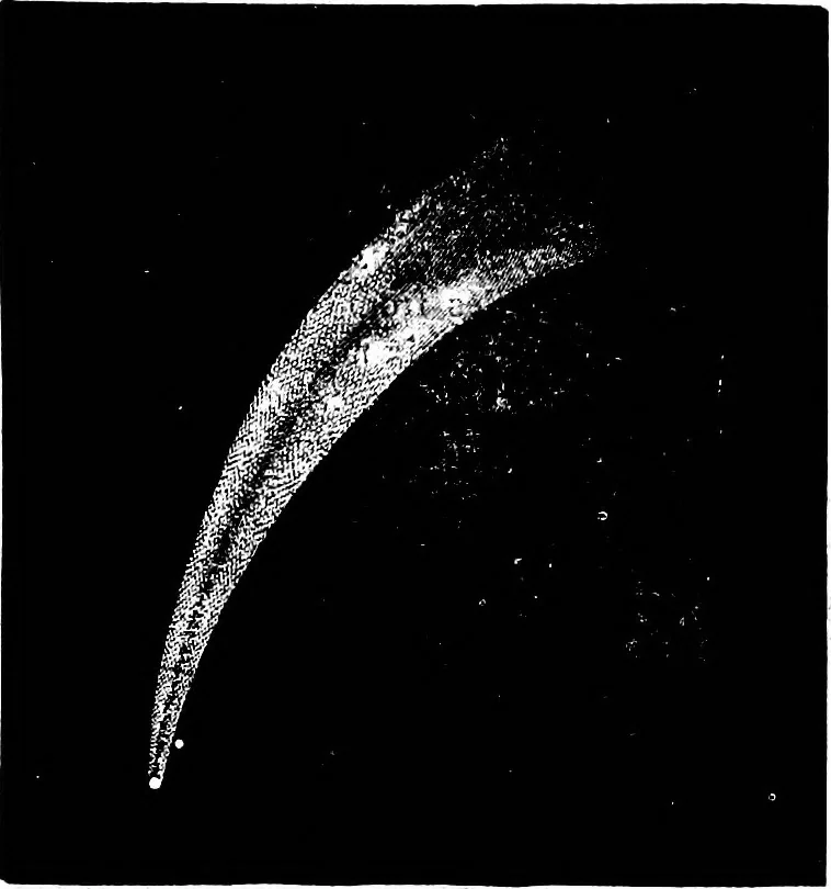 An illustration from The heavens above: a popular handbook of astronomy, 1882, leaf 310