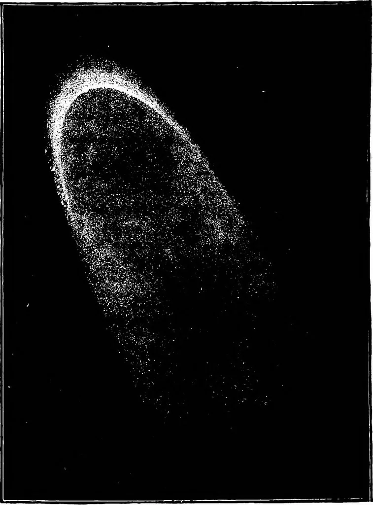 An illustration from The heavens above: a popular handbook of astronomy, 1882, leaf 329