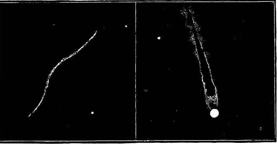 An illustration from The heavens above: a popular handbook of astronomy, 1882, leaf 332