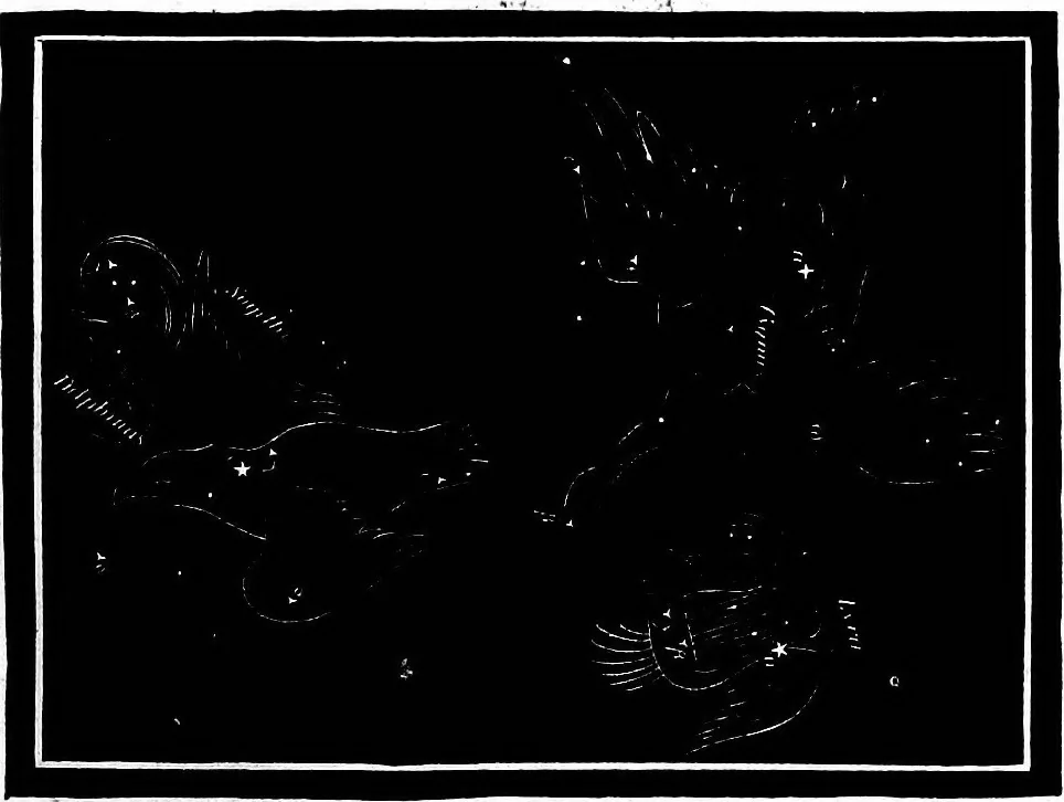 An illustration from The heavens above: a popular handbook of astronomy, 1882, leaf 366