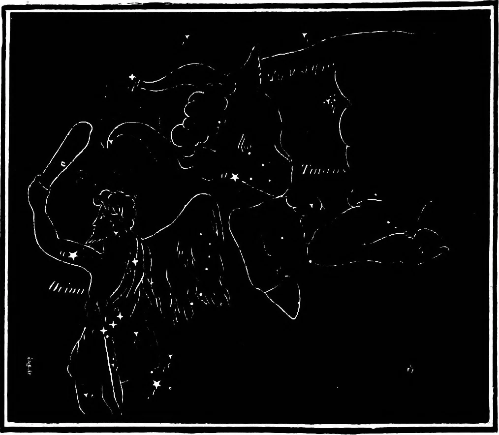 An illustration from The heavens above: a popular handbook of astronomy, 1882, leaf 371