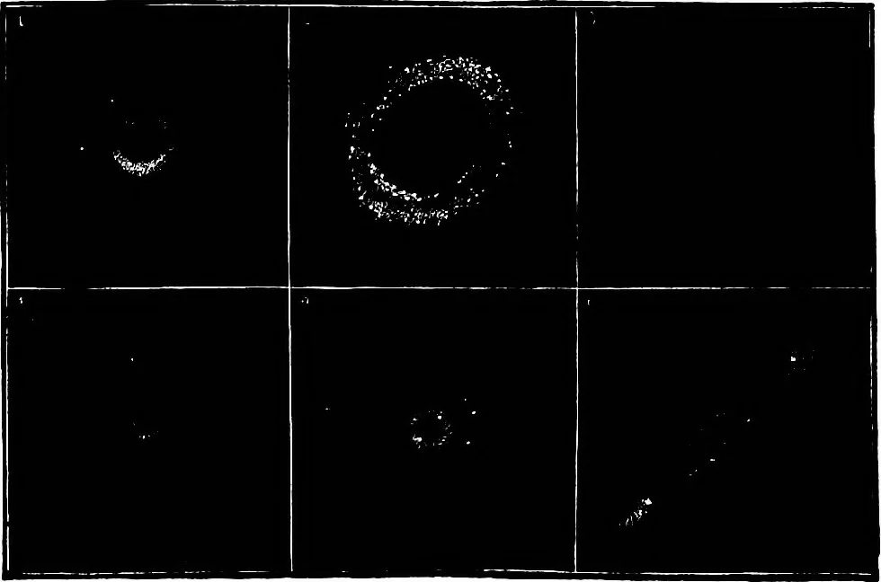An illustration from The heavens above: a popular handbook of astronomy, 1882, leaf 401