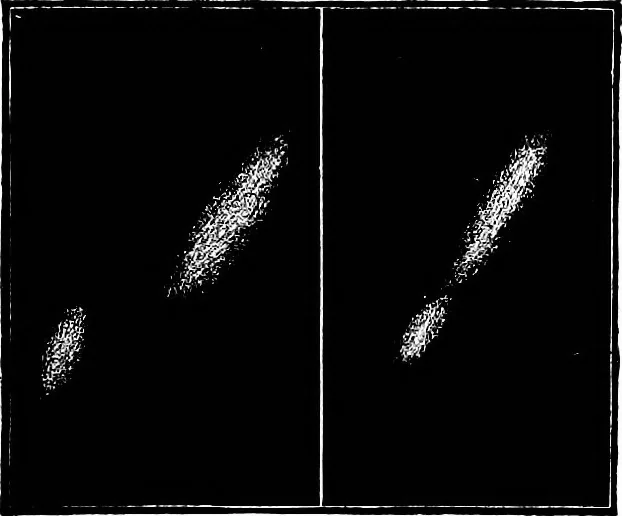 An illustration from The heavens above: a popular handbook of astronomy, 1882, leaf 404