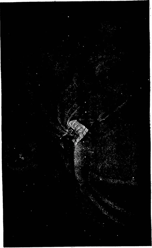 An illustration from The heavens above: a popular handbook of astronomy, 1882, leaf 407