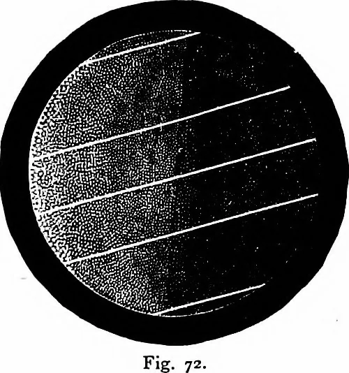 An illustration from The heavens above: a popular handbook of astronomy, 1882, leaf 78