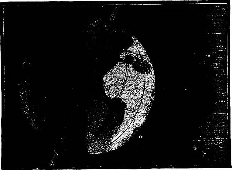 An illustration from The heavens above: a popular handbook of astronomy, 1882, leaf 88