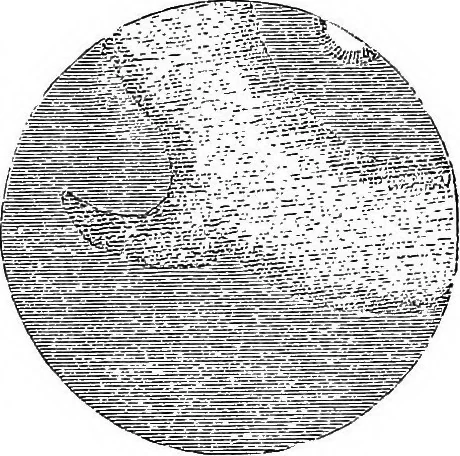 An illustration from A new treatise on astronomy, and the use of globes : in two parts ..., 1866, leaf 106
