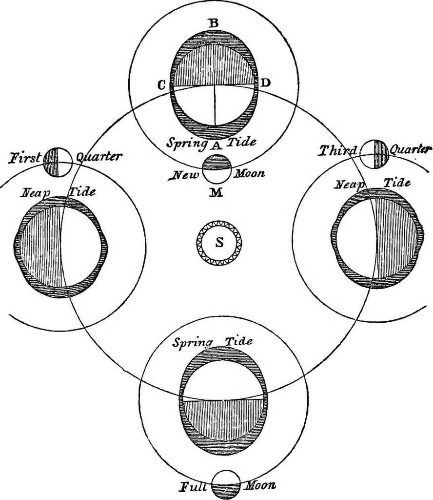An illustration from A new treatise on astronomy, and the use of globes : in two parts ..., 1866, leaf 188