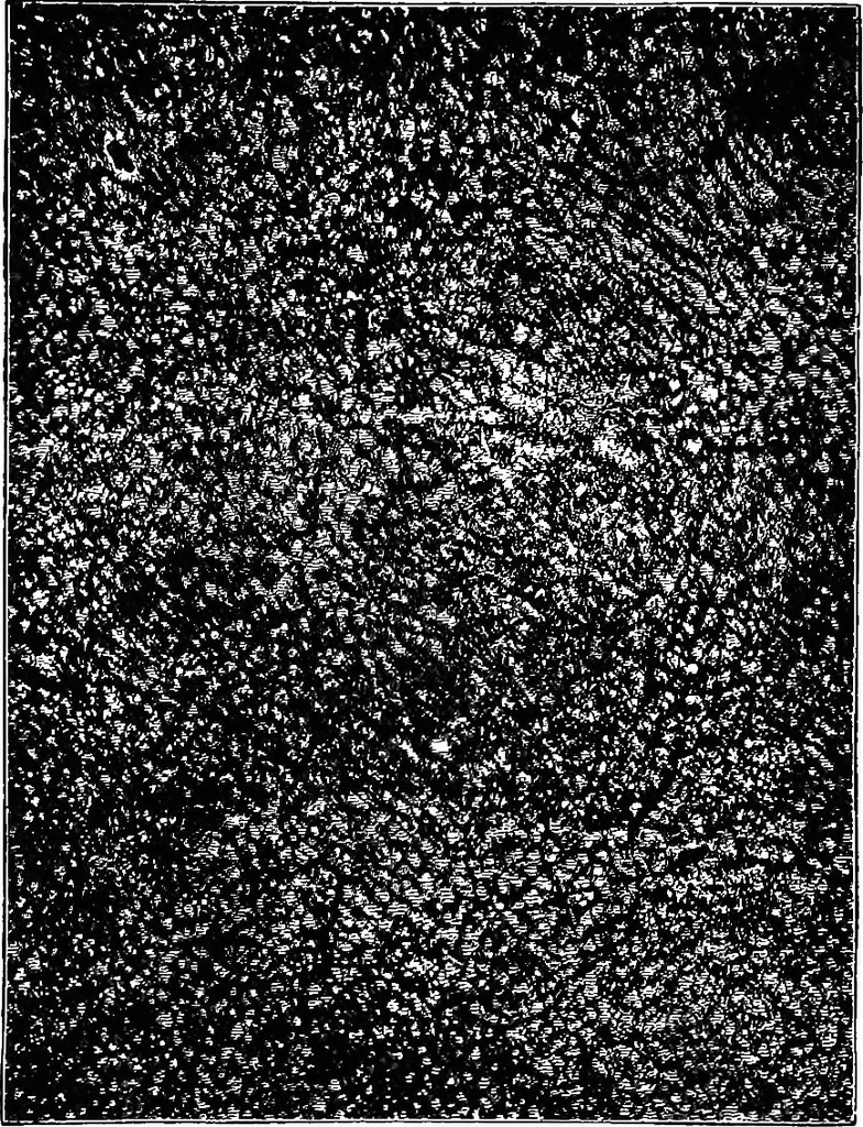 An illustration from Astronomy for students and general readers, 1880, leaf 302